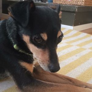 Meet your Posher, Olivia